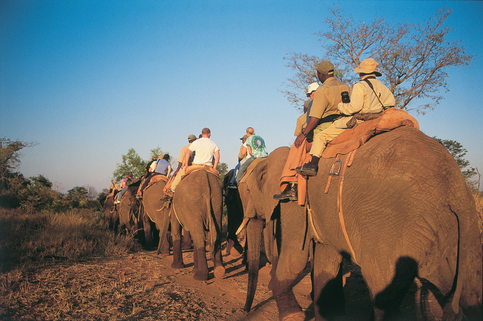 Elephant Back Safaris