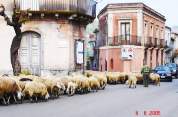 Vale do Alcântara: vilarejos mágicos, maccaruni di casa e lemoncellos inigualáveis