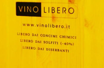 Associazione Vino Libero: um manifesto italiano pela produção de vinhos com identidade, honestidade e sustentabilidade