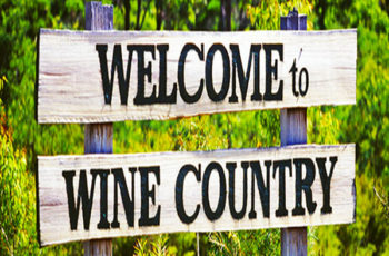 Lo que realmente importa nel turismo del vino en la opinión de 88 profesionales de vino y de turismo de 31 países – una encuesta exclusiva de In Vino Viajas