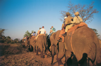 Aventuras em Durban e na Zululândia, degustando as Amarulas da África do Sul