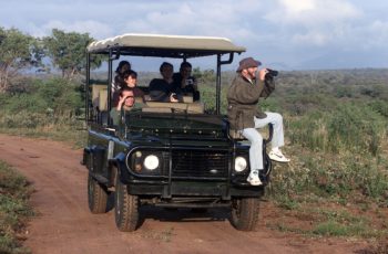 Conheça a África do Sul: terra de Aventuras, Safaris e vinhos Pinotage