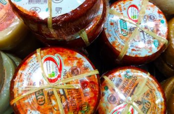 Conheça os queijos Terrincho e Azeitão, deliciosas especialidades portuguesas – e os belos lugares onde eles são feitos, como Vila Nova de Foz Côa