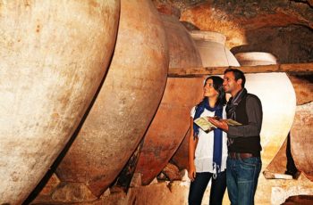 O Território Bobal de Valência, Espanha, lança candidatura para ser reconhecido como Paisagem Cultural da UNESCO