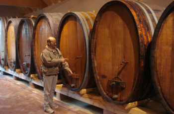 Os vinhos da Alsácia: uma arte de 2.000 anos