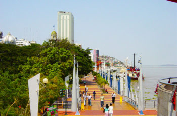 Guayaquil, Equador: simpatia histórica, belezas naturais, cultura global e muita animação no Malecón 2000