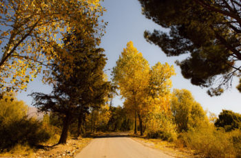 Em Potrerillos, nas cabanas andinas del Cortijo del Torreon