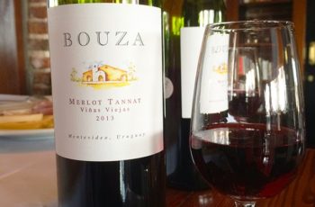 Pelos caminhos do Uruguai: degustando passeios, simpatia e vinhos muito além do Tannat