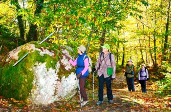 Caminho dos Prodígios: a surpreendente land-art nos bosques da Serra de Francia em Salamanca, Espanha.