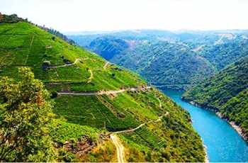 Viticultura Heróica, cultura exclusiva e paisagens impressionantes: campanha mostra porque a Ribeira Sacra deve ser um Patrimônio da Humanidade da Unesco