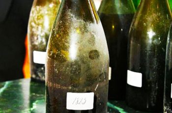 Vinho e humanidade: uma história de 10.000 anos revelada por uvas, vinhos, garrafas e adegas