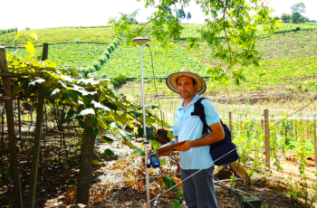 Saiba como o georrerenciamento de vinhedos da serra gaúcha pode melhorar o nosso vinho