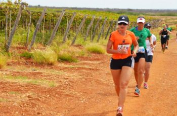 Wine Run 2014: corra entre os vinhedos da Serra Gaúcha e depois comemore com a melhor enogastronomia do Brasil