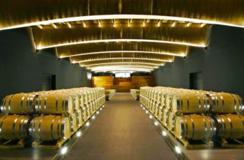Conheça a arquitetura de J. Marino Pascual, o espanhol que inventou a vinícola-com-cara-de-museu e o enoturismo do século XXI