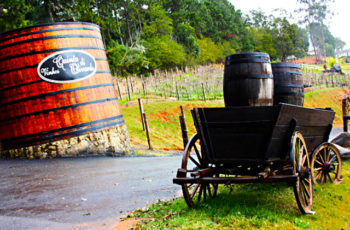 Rótulos de vinhos dos anos 60 lembram a herança portuguesa da vinicultura em São Roque, no estado de São Paulo