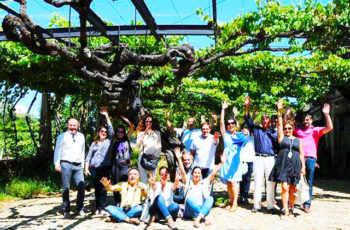 Conheça a videira com 500 anos da Quinta do Louredo, na rota dos vinhos verdes, Portugal, que resistiu a Napoleão, à filoxera e a duas grandes guerras