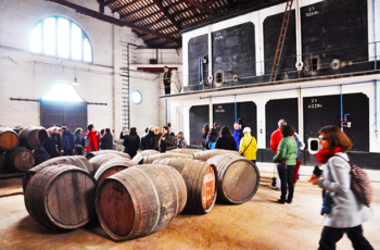 Conheça Cinco Belos museus da Espanha Sobre os Vinhos D.O. Ribera del Duero, Penedés, Ribeira Sacra, Alvariño e Málaga