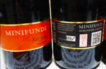 A revolução das MicroVinyas em Alicante, Espanha: Juan Cascant explica como é possível fazer vinhos premiados em vinhedos minúsculos e sustentáveis
