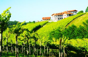 Na rota do vinho Txakoli de Getaria: especialidades, encantos e delícias do surpreendente País Basco