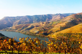Uma visita à Quinta do Seixo, da Sogrape: a impressionante beleza dos vinhedos do Douro, e a difícil tarefa de tentar registrá-la