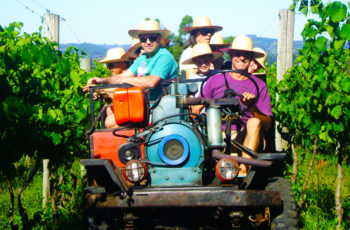 Embarque na alegria do Dia do Vinho 2017: são 15 dias de diversão em centenas de atividades no Sul, Sudeste e Nordeste do Brasil.