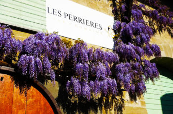 Uma visita à Domaine Les Perrières, em Satigny, Suiça, para degustar vinhos de uvas francesas, produzidos por portugueses, com enólogo suiço.