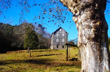 Conheça o CEPAVIN, criado para ajudar a preservar a memória e o patrimônio cultural das comunidades e territórios do vinho no Brasil