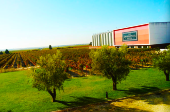 Conheça as mulheres vinhateiras da Casa Ermelinda Freitas, Portugal, e suas barricas cor de rosa, seus jardins elegantes e vinhos premiados