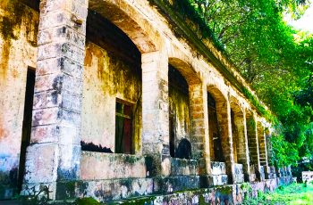 Conheça Paricatuba, a grandiosa hospedaria para imigrantes italianos do século XIX que foi engolida pela floresta amazônica