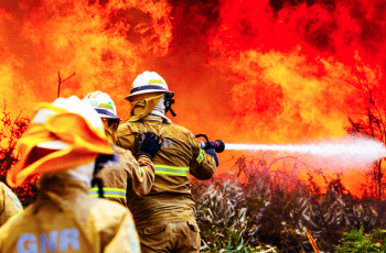 Vinhedos, incêndios e as mudanças climatéricas.