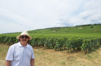 Milton Mira, autor de “Viagens, Livros, História”, fala sobre o prazer em conhecer terroirs, castas, processos, histórias e culturas no enoturismo