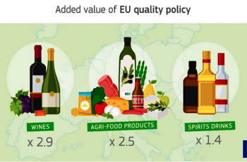 Indicações geográficas de alimentos e bebidas: um tesouro de € 75 bilhões para a agricultura familiar da Europa