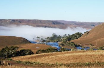 Com a volta das viagens, turismo rural, ecoturismo e enoturismo vão deixar o coronavirus perdido na paisagem