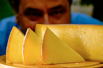 Entregue em Santa Catarina o primeiro Selo Arte, que valoriza a autenticidade e origem de queijos artesanais