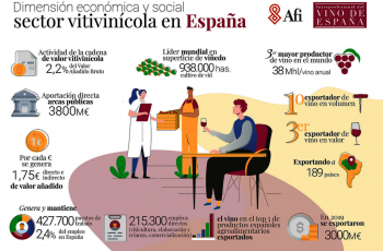 Espanha anuncia faturamento de 23,7 bilhões de euros com a indústria do vinho em 2019