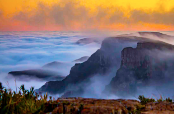 Livro da Epagri desvenda os segredos do terroir dos Vinhos de Altitude de Santa Catarina