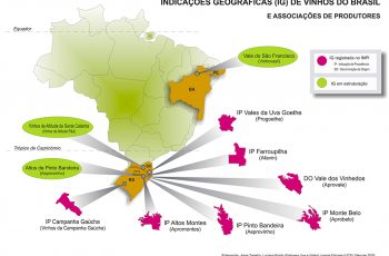 Brasil vai ter mais três regiões vinícolas com certificação de origem; solicitações aceleram no INPI