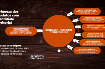 Os 20 benefícios dos produtos e do turismo com identidade territorial para o desenvolvimento local