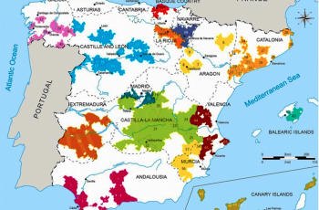 96% da área de vinhedos na Espanha está em territórios com denominação de origem (Identidade Geográfica)