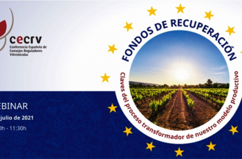 Vinhos com Denominação de Origem da Espanha debatem online como aplicar fundos de recuperação de 120 milhões de Euros