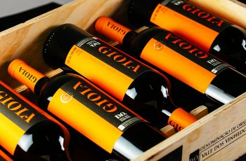 Vinícola Aurora cria Gioia, marca exclusiva para vinhos com Indicações Geográficas