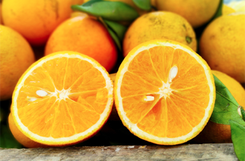 “Laranjas da Região de Tanguá” é a 100a. Indicação Geográfica do Brasil e se torna a primeira laranja gourmet do país