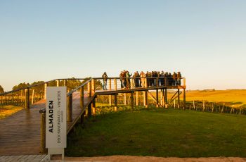 Vinícola Almadén, do Grupo Miolo, inaugura estrutura de enoturismo inovadora na fronteira com o Uruguai