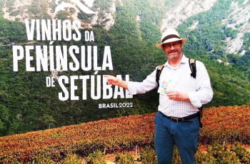 O valor agregado pela Identidade Geográfica aos vinhos da Peninsula de Setubal, Portugal