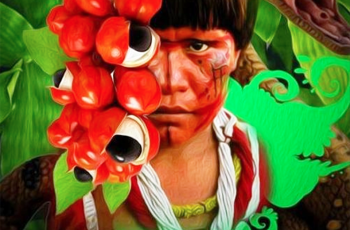 Prêmio “Nobel Verde” é concedido aos Sataré-Mawé pela certificação do waraná como IG, no coração da Amazônia