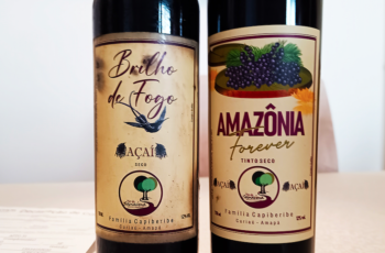 Vinho de açaí do Amapá foi confundido com vinho de uvas vitis viníferas em teste cego – será que vai assim para o mercado?