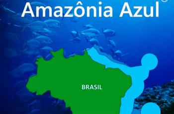 As riquezas da Economia do Mar e as maravilhas da Amazônia Azul