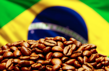 Produtores de cafés com Indicação Geográfica (IG) do Brasil se unem para transformar em realidade os benefícios da certificação