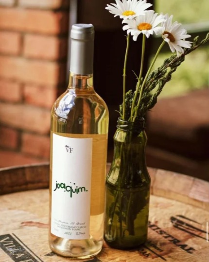 Robert Plant, vocalista do Led Zeppelin, escolhe o vinho catarinense Villa Francioni